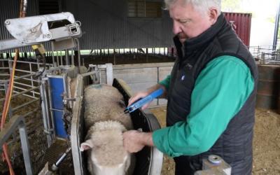 NEW VIDEO : Implant Regulin safely and efficiently